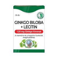 Dr. Chen Ginkgo biloba 120 mg + Lecitin kapszula 30x
