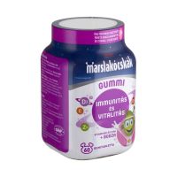 Walmark Marslakócskák Gummi bodzás multivitamin (Pingvin Product) 60x