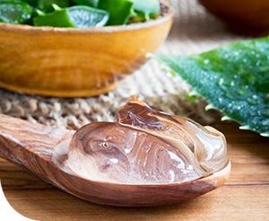 Mire jó az aloe vera?