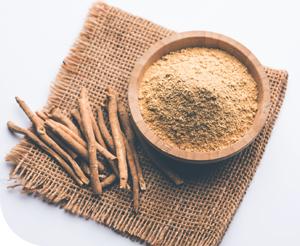 Ashwagandha, az álombogyó