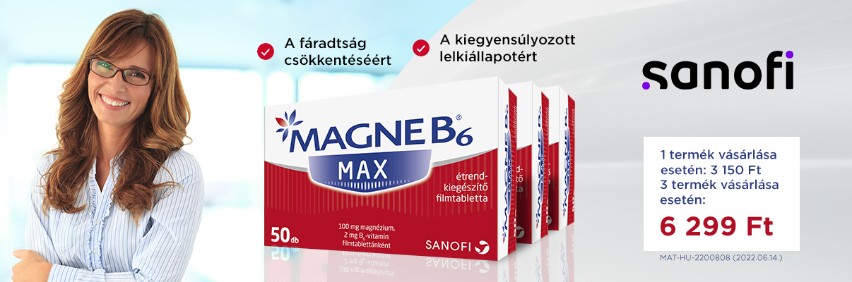 Magne B6 MAX  also
