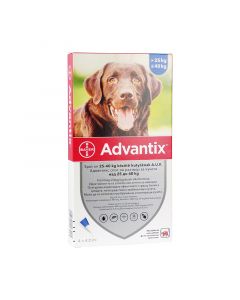 Advantix spot on 25-40 kg közötti kutyáknak a.u.v. 
