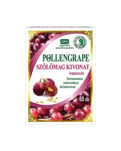 Pollengrape kapszula 330 mg DR.CHEN (Pingvin Product)