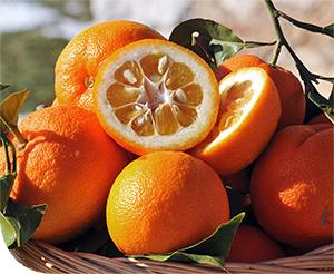 Miért lehet veszélyes a narancshéj?