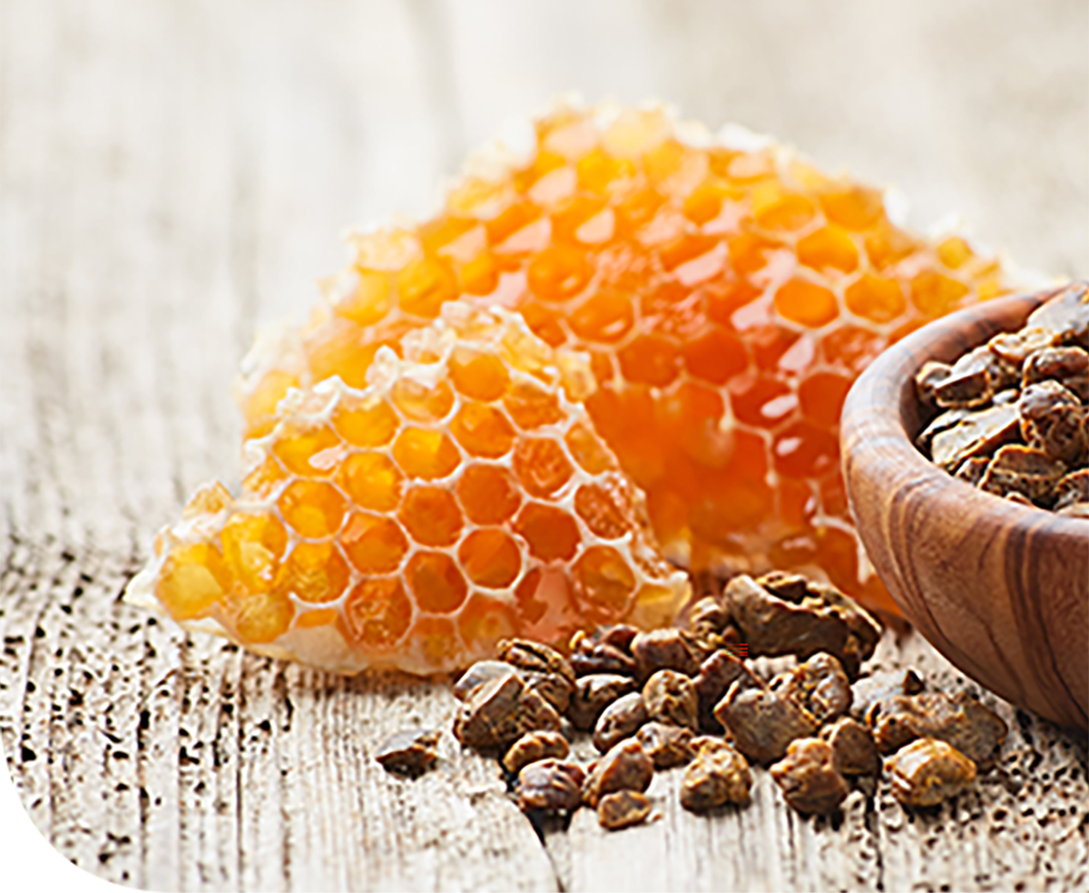 Méz és társai: virágpor, propolisz és méhpempő | Gyógyszer Nélkül